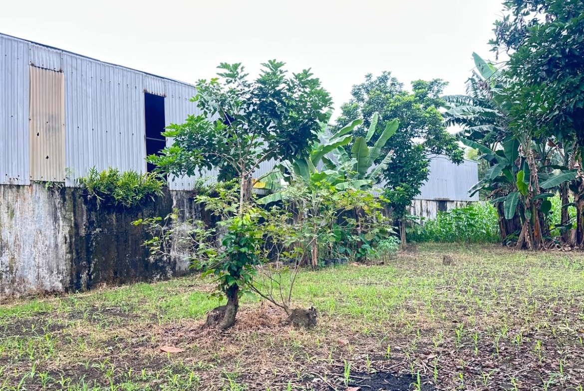 Tanah dan rumah dijual Jl. Yos Sudarso, Cengkeh Turi, Binjai Utara