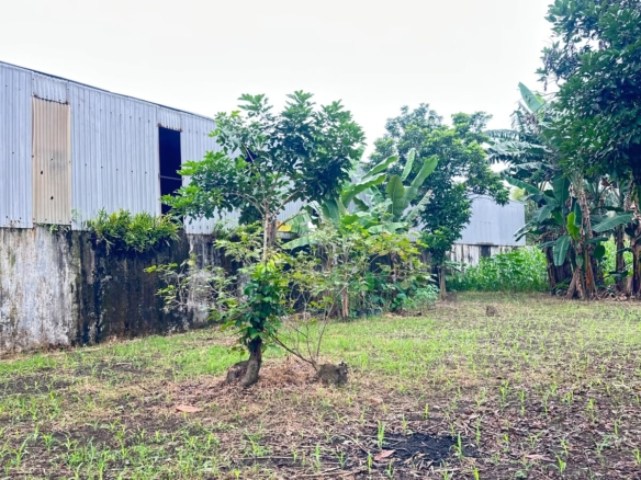 Tanah dan rumah dijual Jl. Yos Sudarso, Cengkeh Turi, Binjai Utara