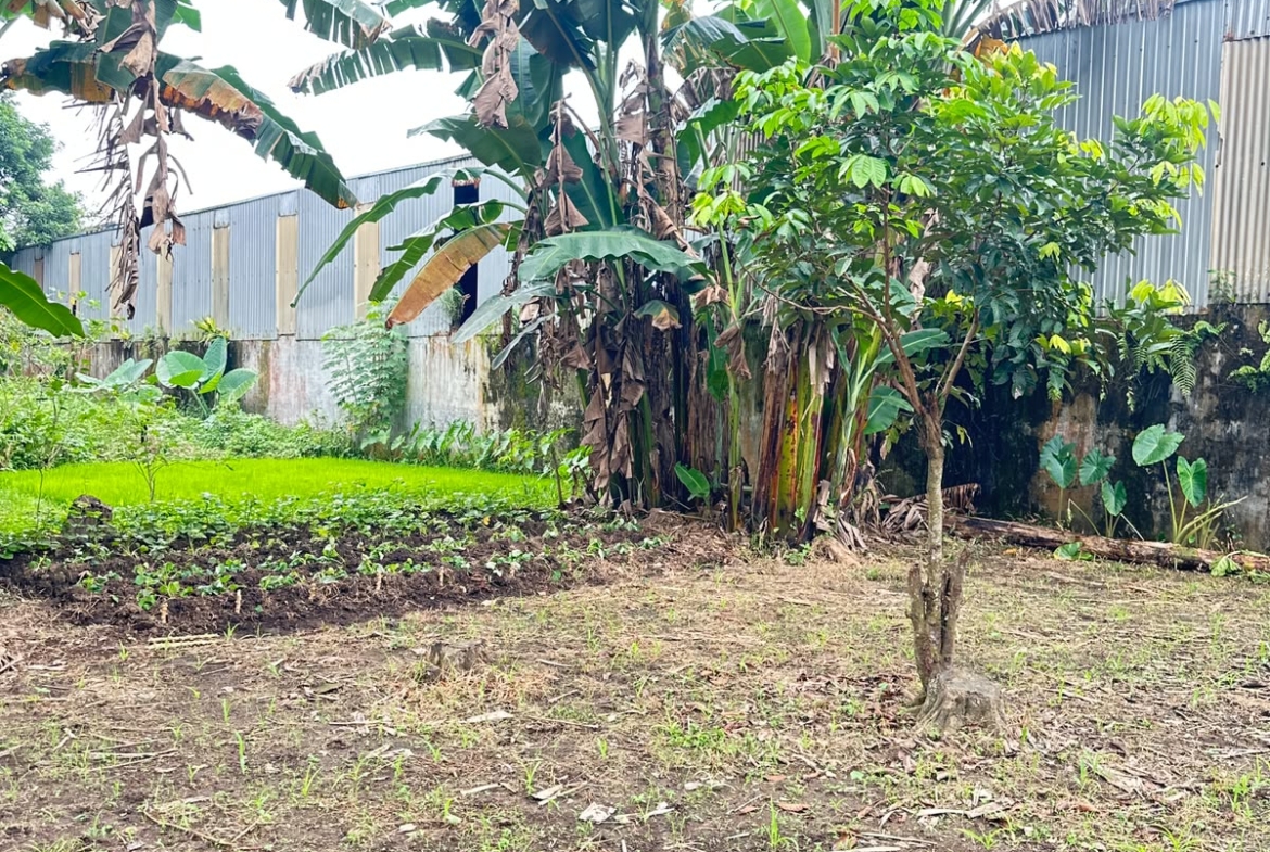 Tanah dan rumah dijual Jl. Yos Sudarso, Cengkeh Turi, Binjai Utara