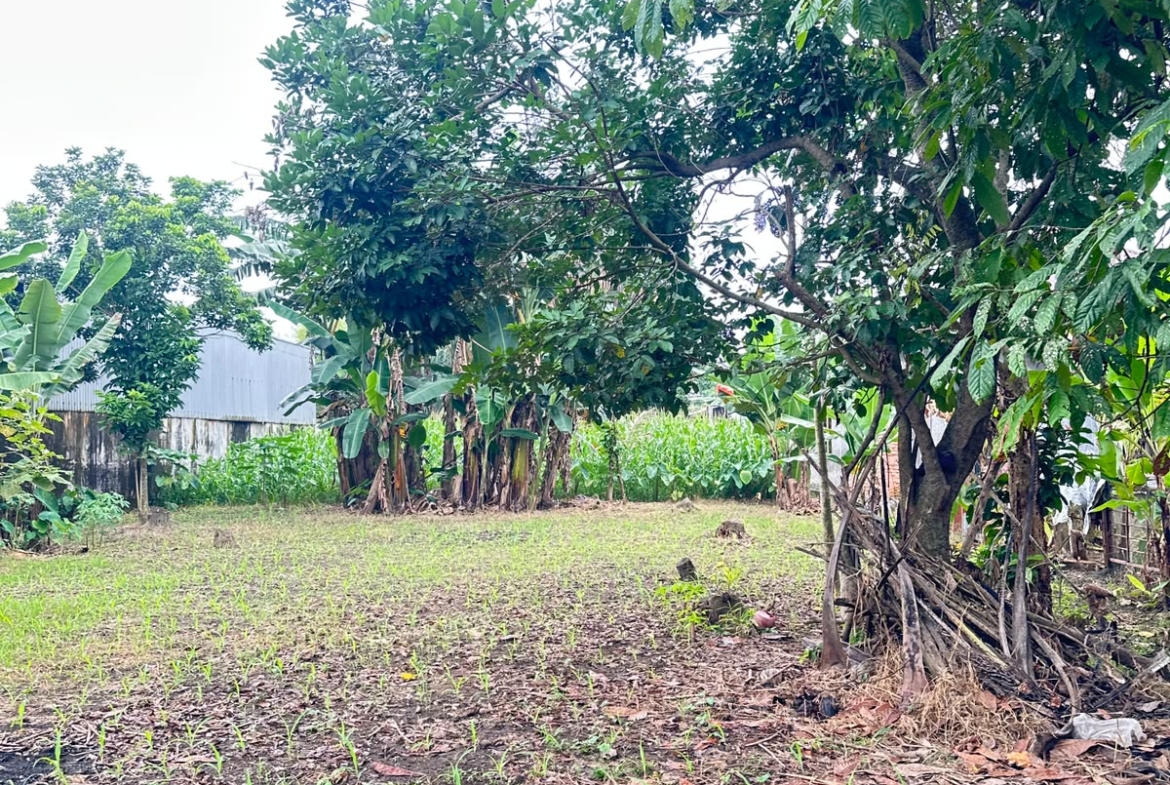 Tanah dan rumah dijual Jl. Yos Sudarso, Cengkeh Turi, Binjai Utara
