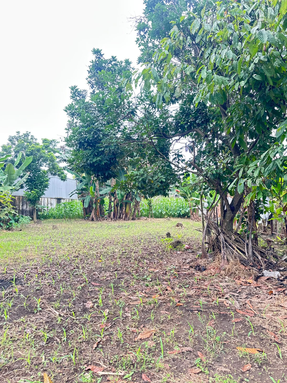 Luas t 4 Tanah dan rumah dijual Jl. Yos Sudarso, Cengkeh Turi, Binjai Utara